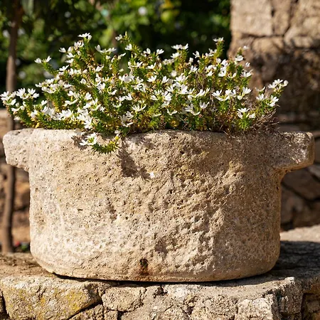 Le Clos De Mansart * Grimaud