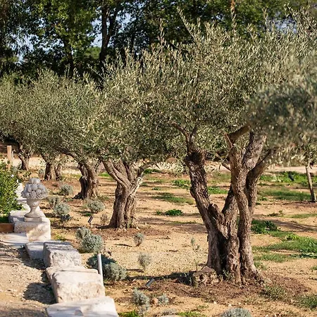 Bed & Breakfast Le Clos De Mansart Grimaud