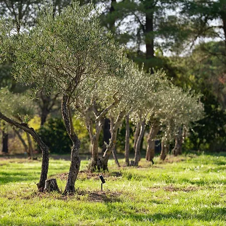 Le Clos De Mansart Grimaud