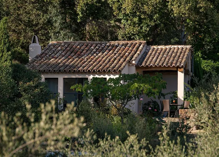 Le Clos De Mansart Frühstückspension Grimaud