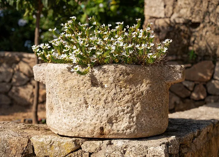 Le Clos De Mansart 4* Grimaud