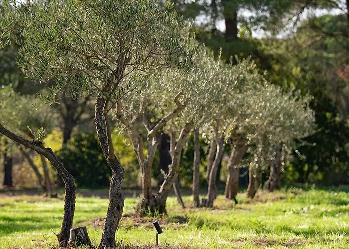 Le Clos De Mansart Grimaud